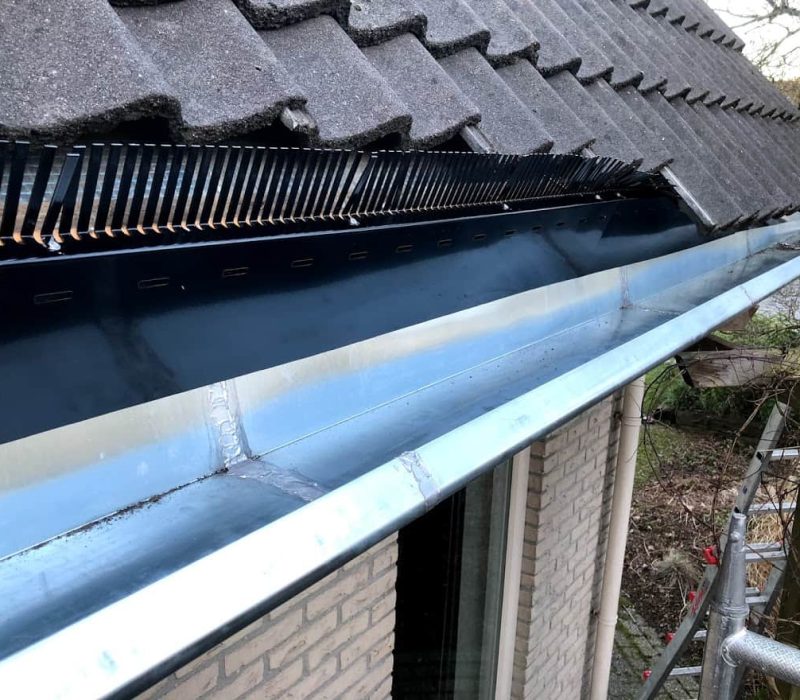 vogelwering Limburg - DDS Dak & Isolatie Service